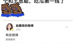 娱乐吃瓜赵露丝微博,娱乐圈幕后故事大揭秘