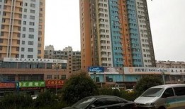 闵行丽园小区爆料视频最新,业主维权事件引发关注